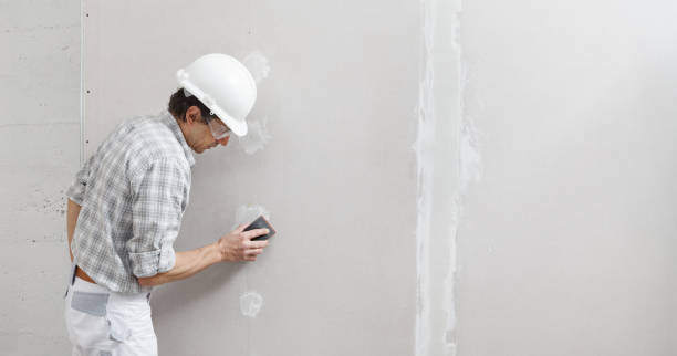 Best Real Estate Mold Inspection  in De Leon, TX