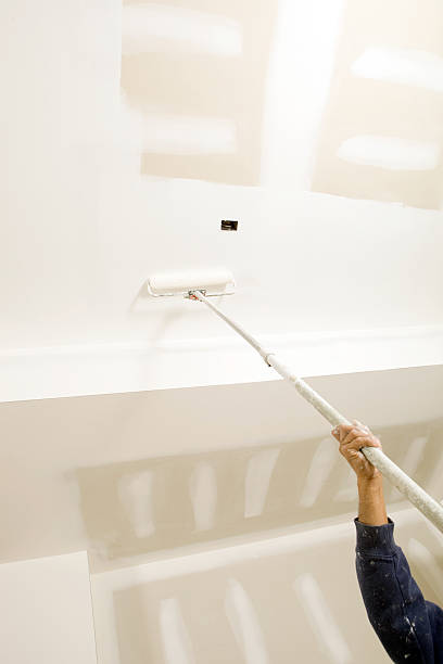 Mold Removal for HVAC Installations in De Leon, TX